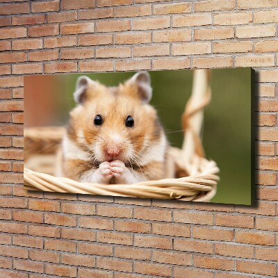 Canvas foto Hamster in een mandje