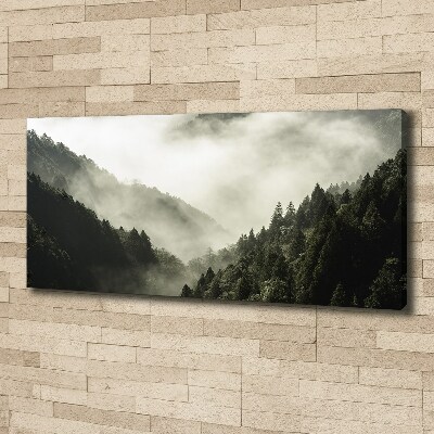 Foto op canvas Mist boven het bos