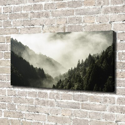 Foto op canvas Mist boven het bos