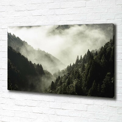 Foto op canvas Mist boven het bos