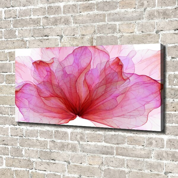Canvas foto Roze bloem