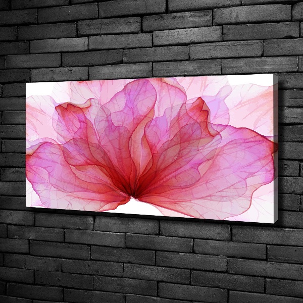 Canvas foto Roze bloem
