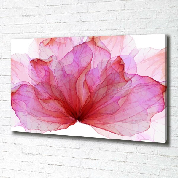 Canvas foto Roze bloem