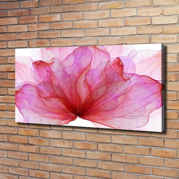 Canvas foto Roze bloem