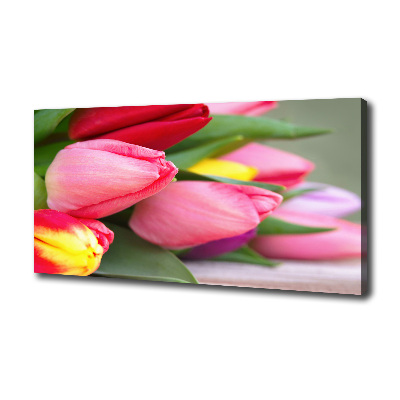 Canvas schilderij Kleurrijke tulpen
