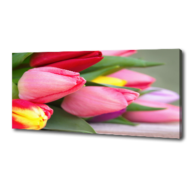 Canvas schilderij Kleurrijke tulpen