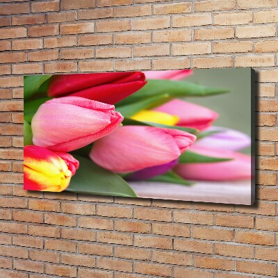 Canvas schilderij Kleurrijke tulpen