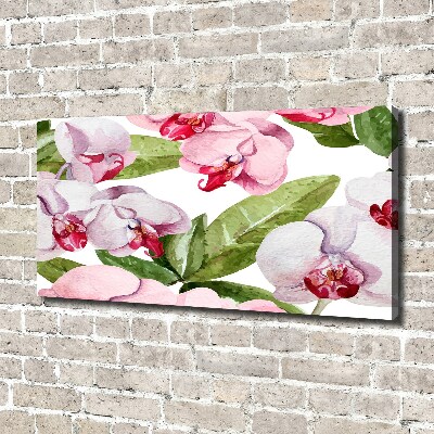 Canvas schilderij Roze orchideeën