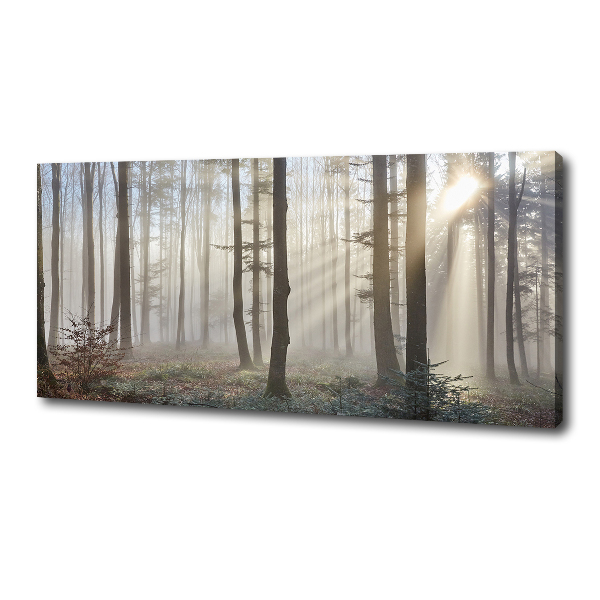 Foto canvas Mist in het bos