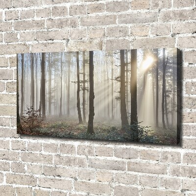 Foto canvas Mist in het bos