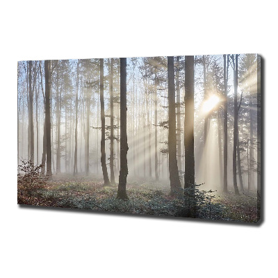 Foto canvas Mist in het bos