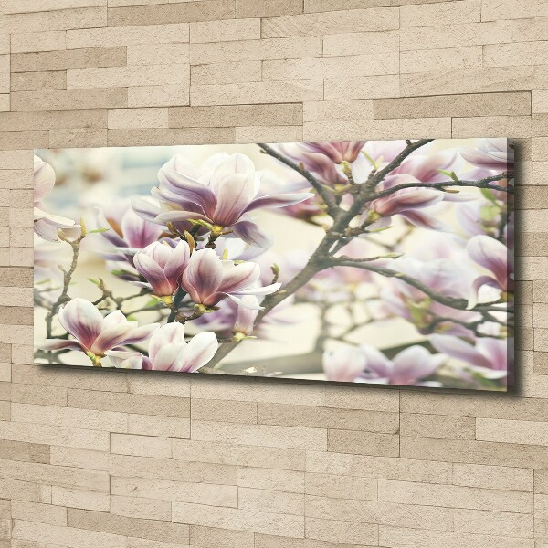 Schilderij op canvas Magnolia