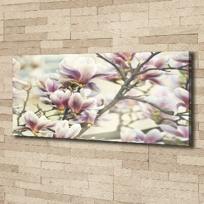 Schilderij op canvas Magnolia