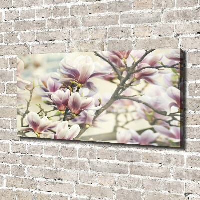 Schilderij op canvas Magnolia
