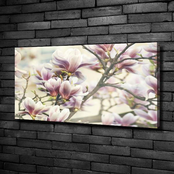 Schilderij op canvas Magnolia