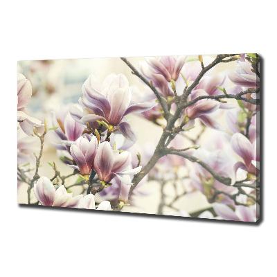 Schilderij op canvas Magnolia