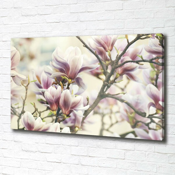 Schilderij op canvas Magnolia