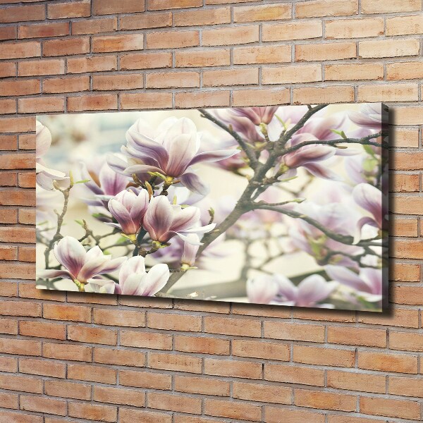 Schilderij op canvas Magnolia
