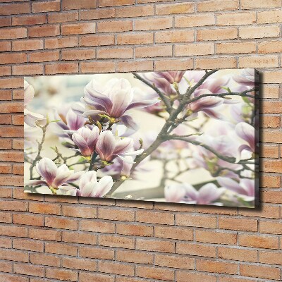 Schilderij op canvas Magnolia