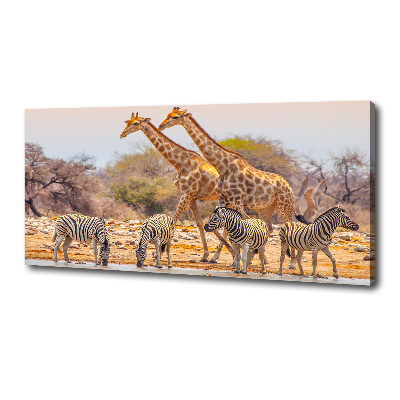 Foto canvas Giraffen en zebra's