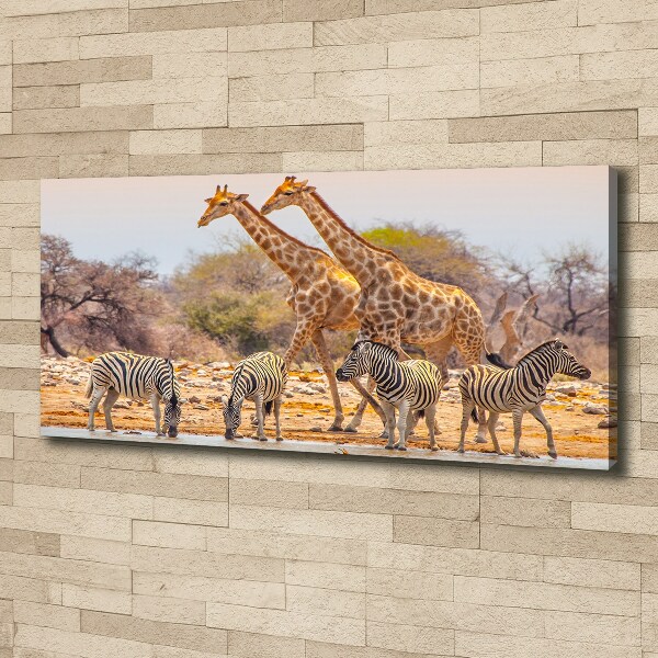 Foto canvas Giraffen en zebra's