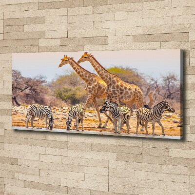 Foto canvas Giraffen en zebra's