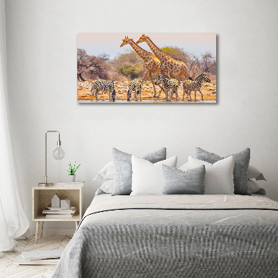Foto canvas Giraffen en zebra's