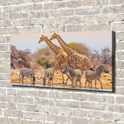 Foto canvas Giraffen en zebra's