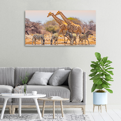 Foto canvas Giraffen en zebra's