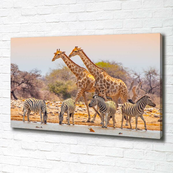 Foto canvas Giraffen en zebra's