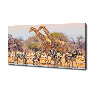 Foto canvas Giraffen en zebra's