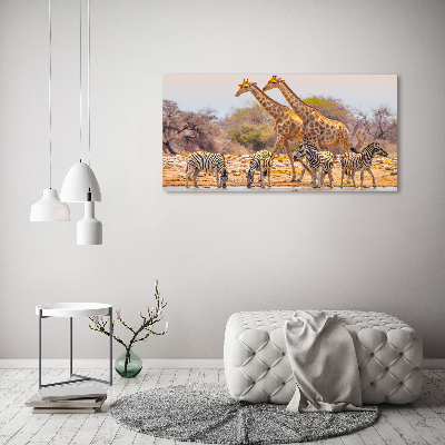Foto canvas Giraffen en zebra's