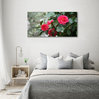 Foto canvas Camelia