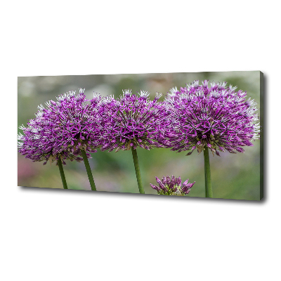 Foto op canvas Knoflookbloem