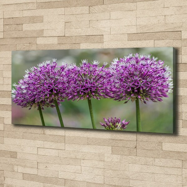Foto op canvas Knoflookbloem