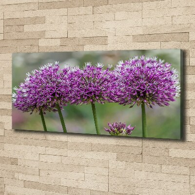 Foto op canvas Knoflookbloem
