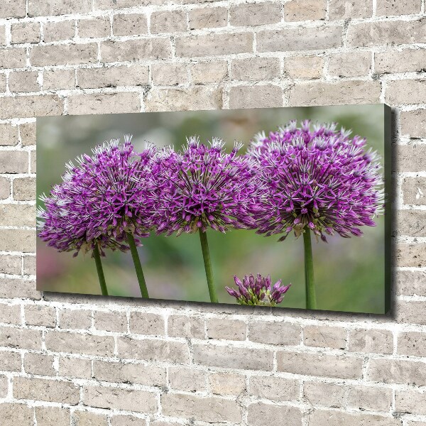 Foto op canvas Knoflookbloem