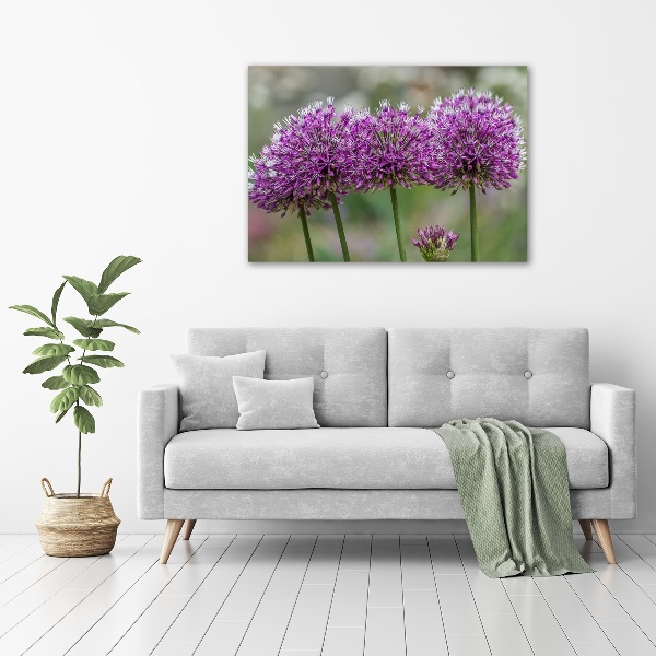 Foto op canvas Knoflookbloem