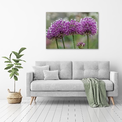 Foto op canvas Knoflookbloem