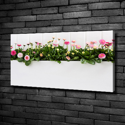 Canvas foto Roze madeliefjes