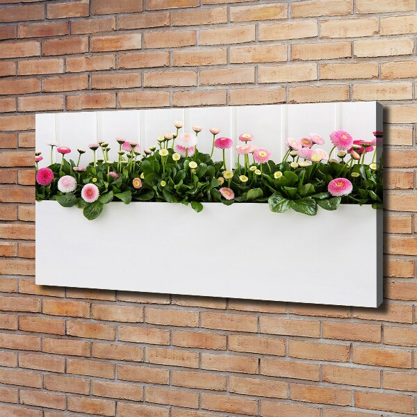 Canvas foto Roze madeliefjes