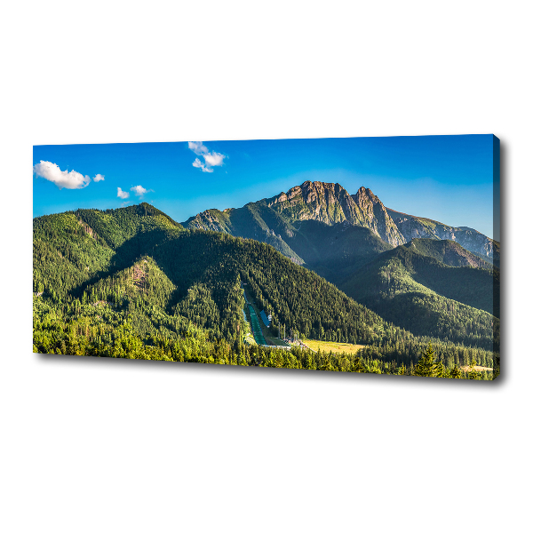 Foto canvas Panorama van het Tatragebergte