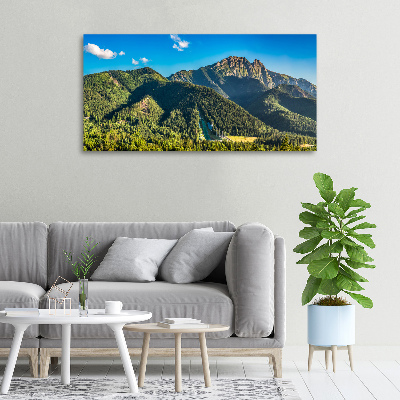 Foto canvas Panorama van het Tatragebergte
