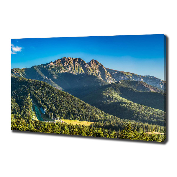 Foto canvas Panorama van het Tatragebergte