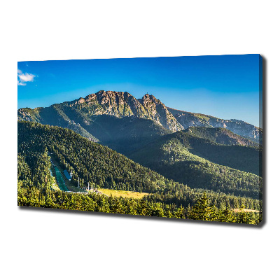 Foto canvas Panorama van het Tatragebergte