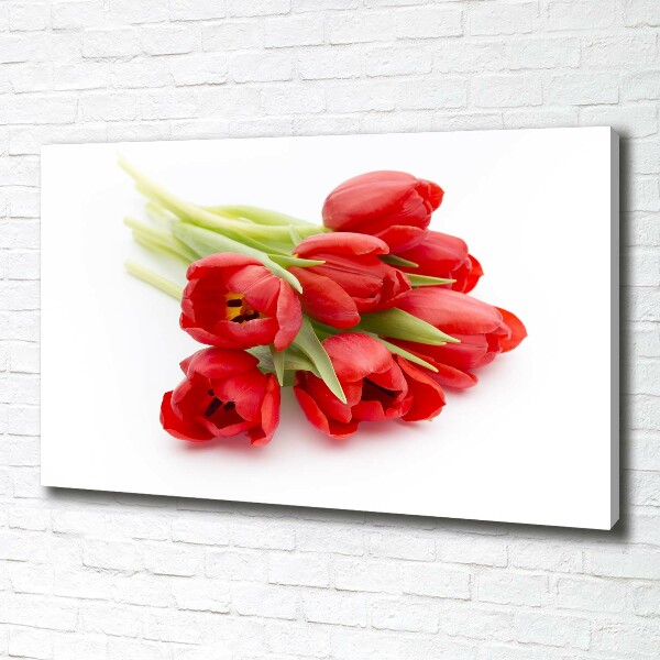 Foto canvas Rode tulpen