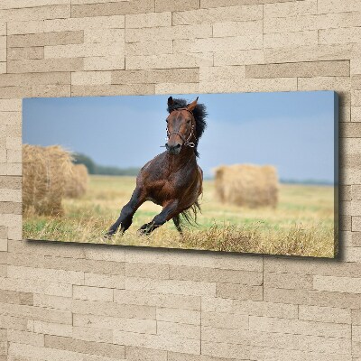 Foto op canvas Een galopperend paard