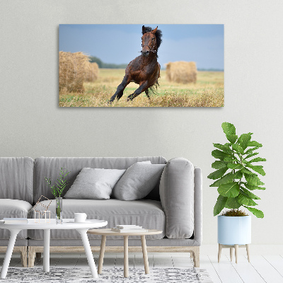 Foto op canvas Een galopperend paard