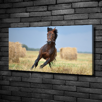 Foto op canvas Een galopperend paard