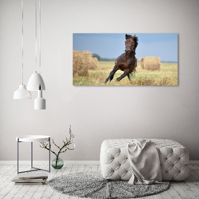 Foto op canvas Een galopperend paard